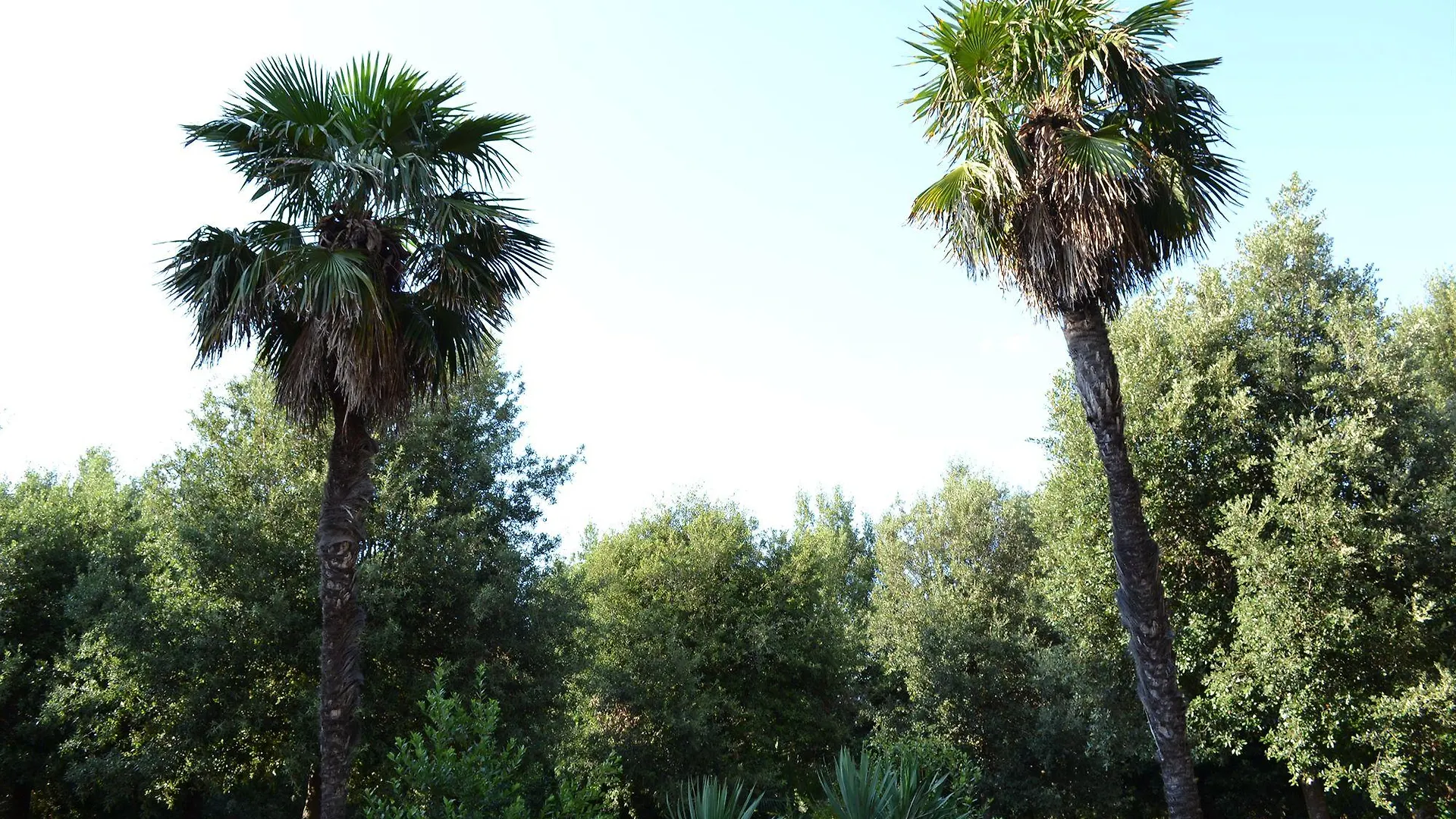 בית חווה ואדה Villa Graziani